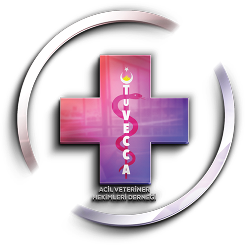 TUVECCA
